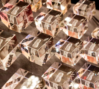 Les prix Oscars 2026