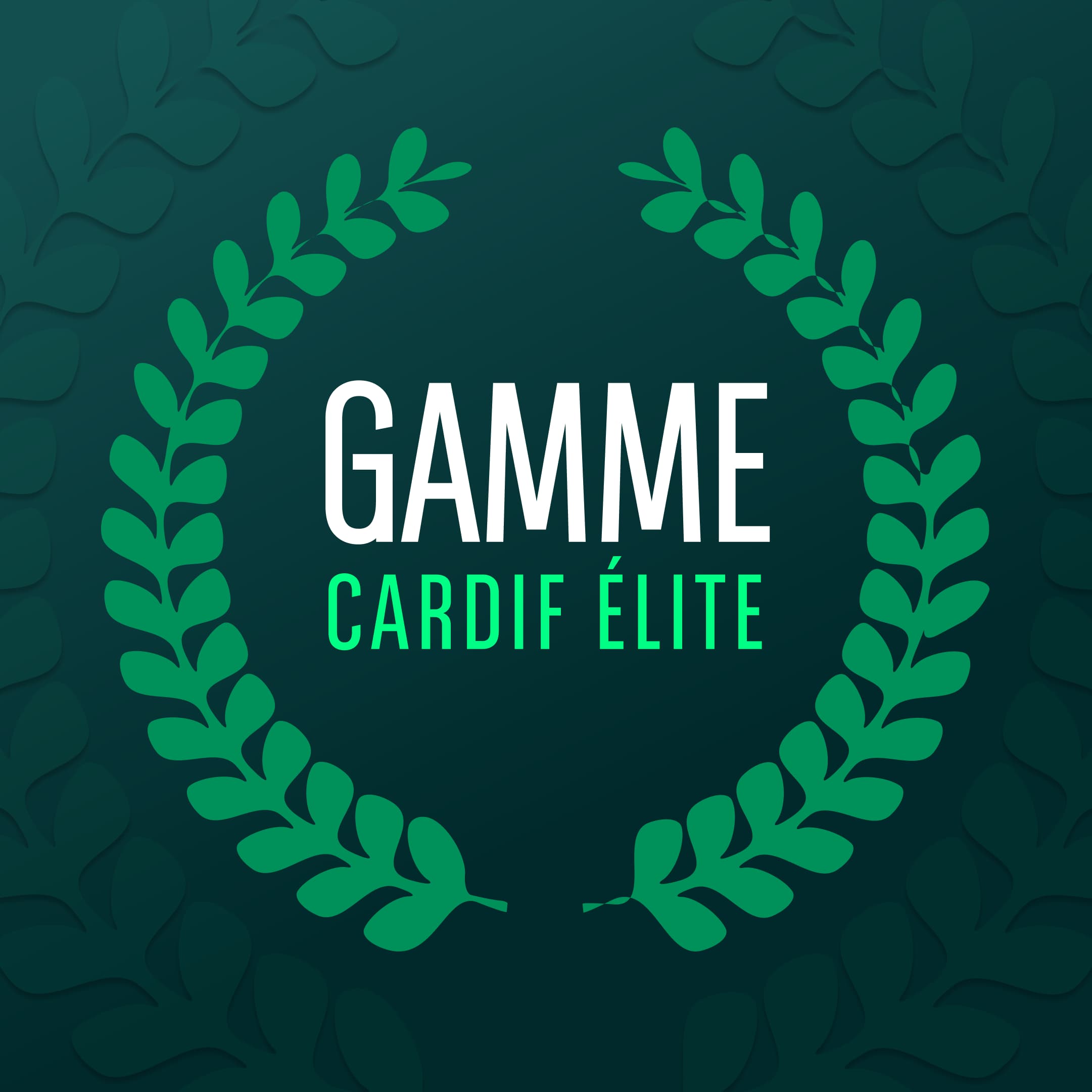 Gamme Cardif Elite