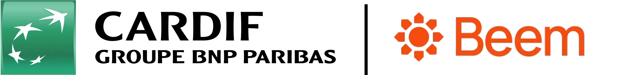 Cardif Groupe BNP PARIBAS | Cetelem